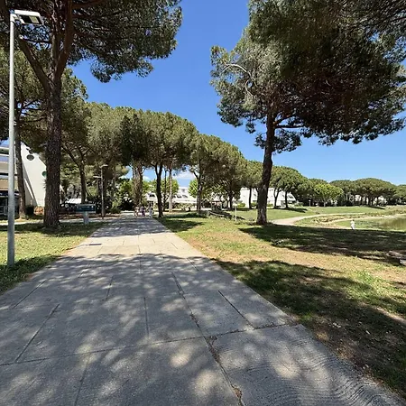 Avec Terrasse Et Parking Proche De La - Fr-1-250-315 Apartment *